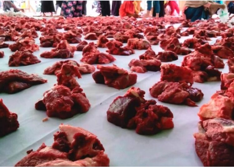 Manfaat Protein Daging bagi Tubuh