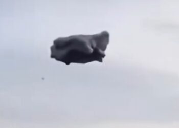 Viral, Busa Hitam Mirip Awan Melayang di Langit Subang